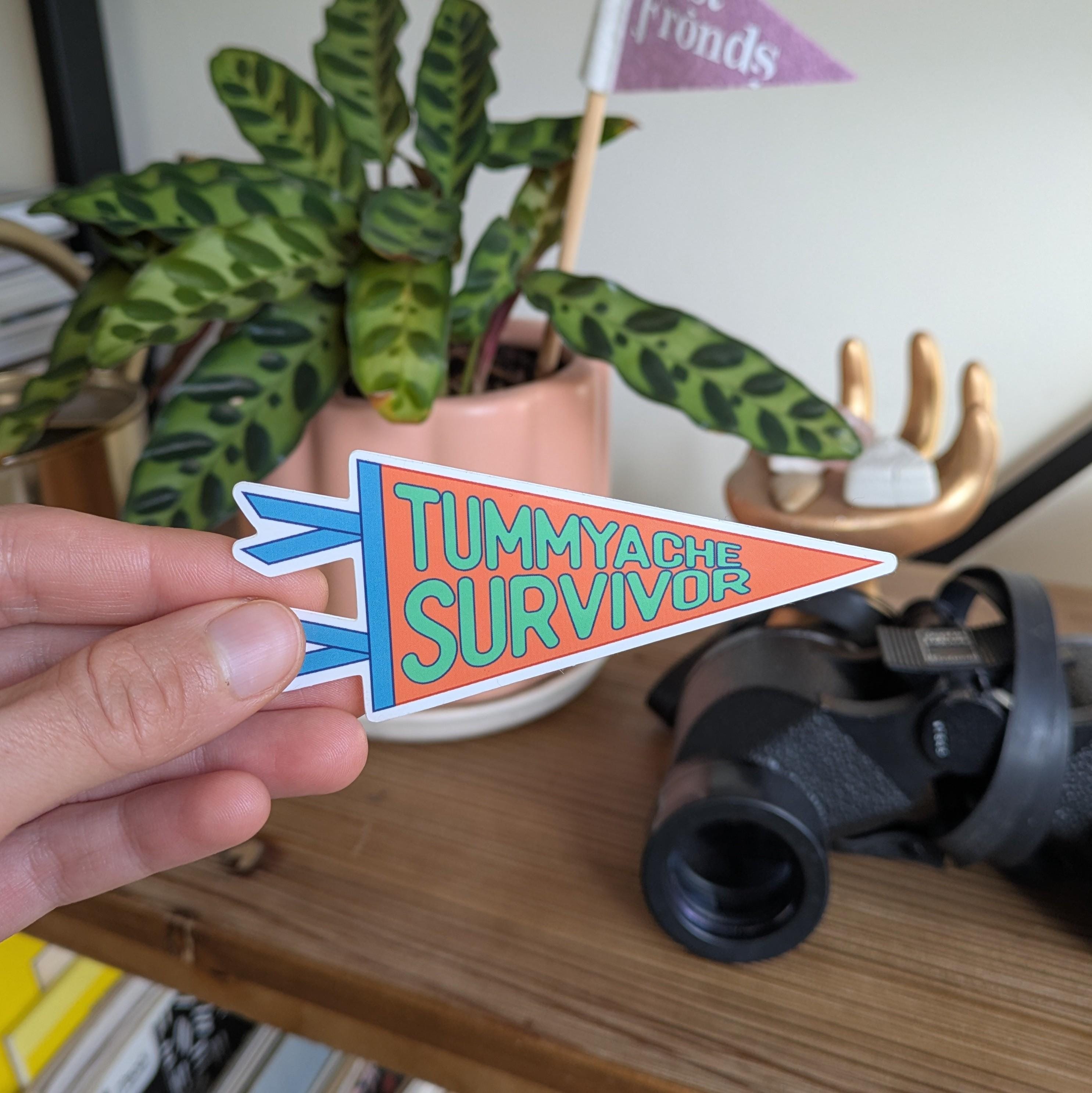 a hand holding a pennant shaped "Tummyache Survivor" sticker, with a shelf and a plant in the background.