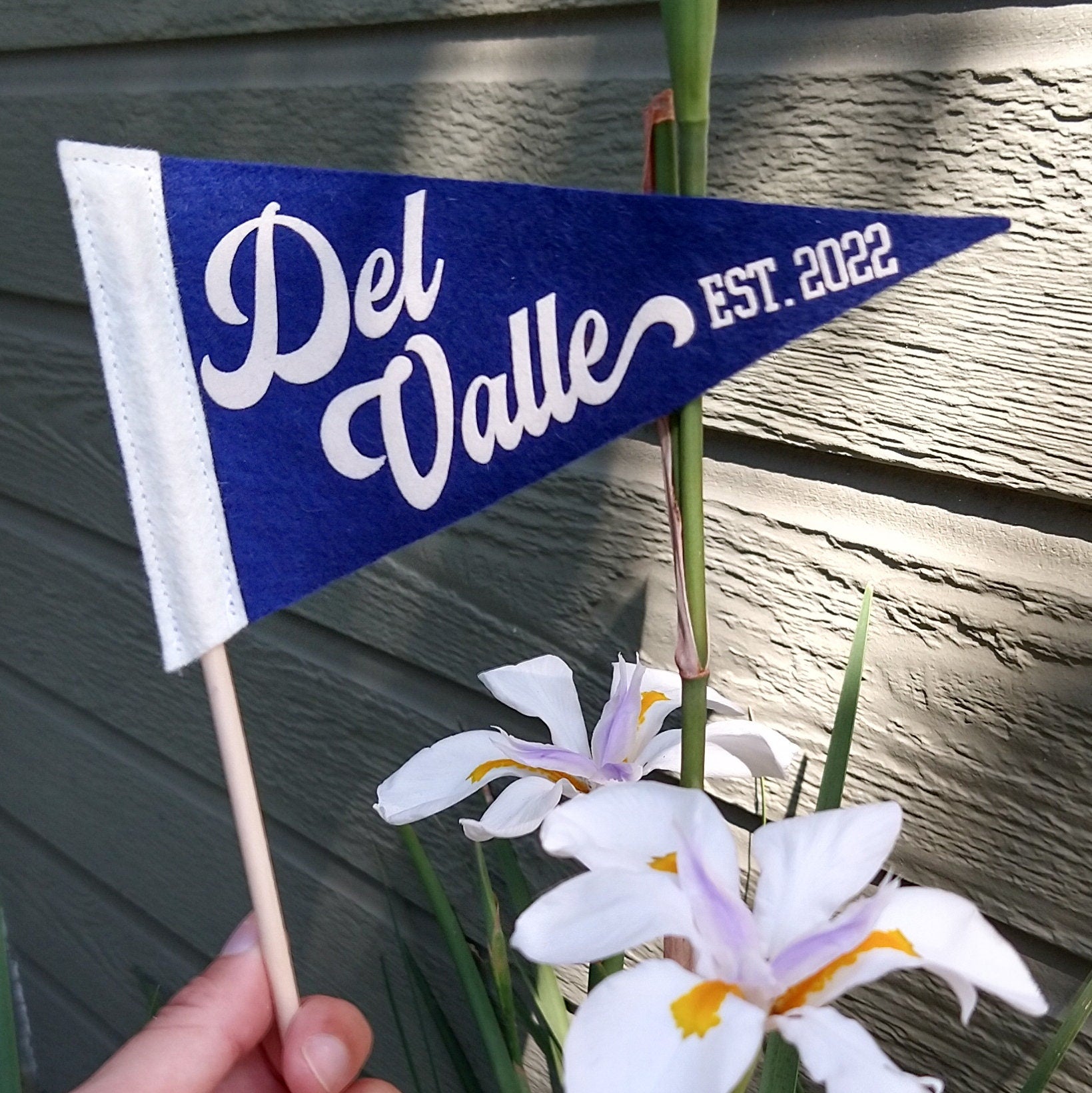Custom Mini Pennant