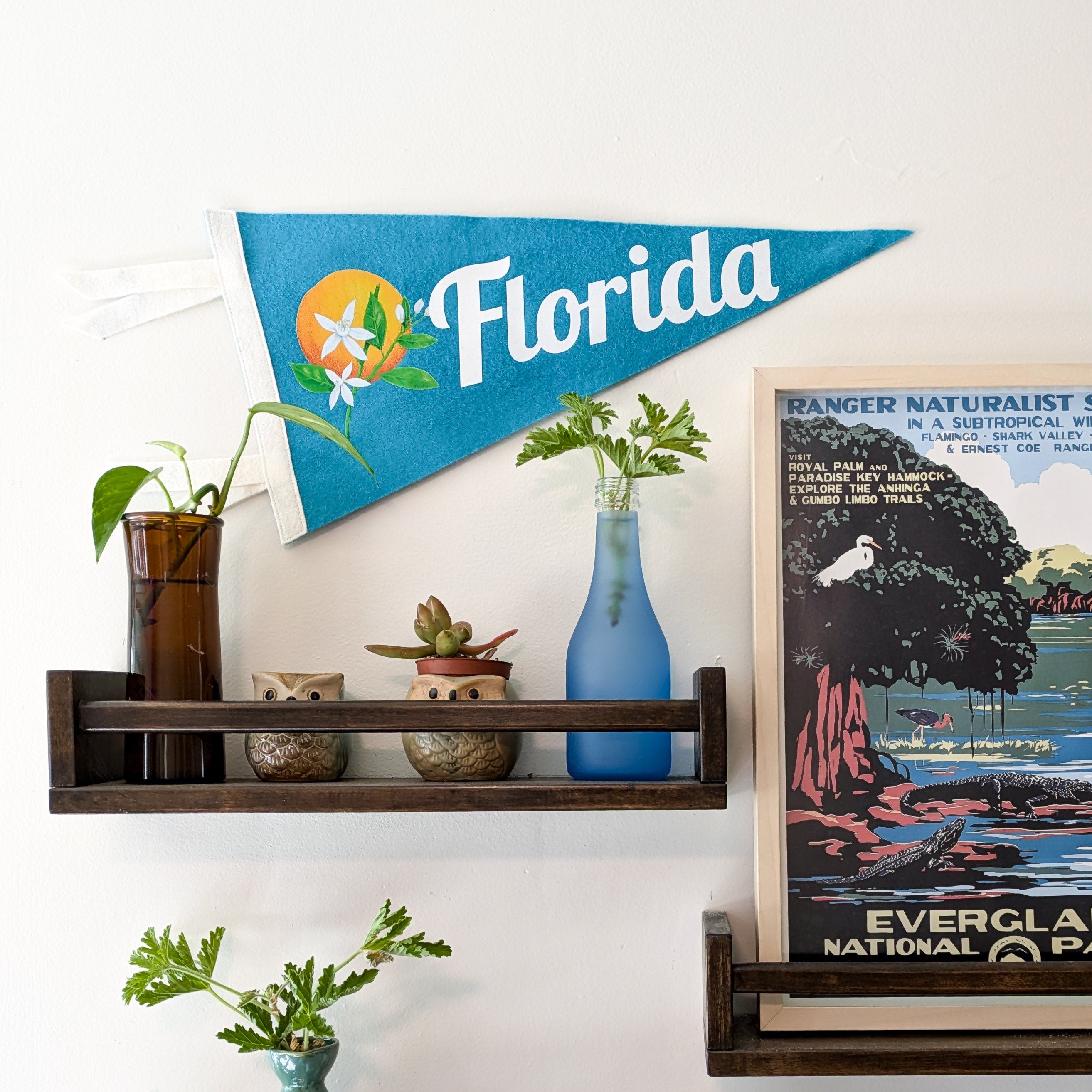 Decorative shelf with plants and a 'Florida' banner on a white wall.