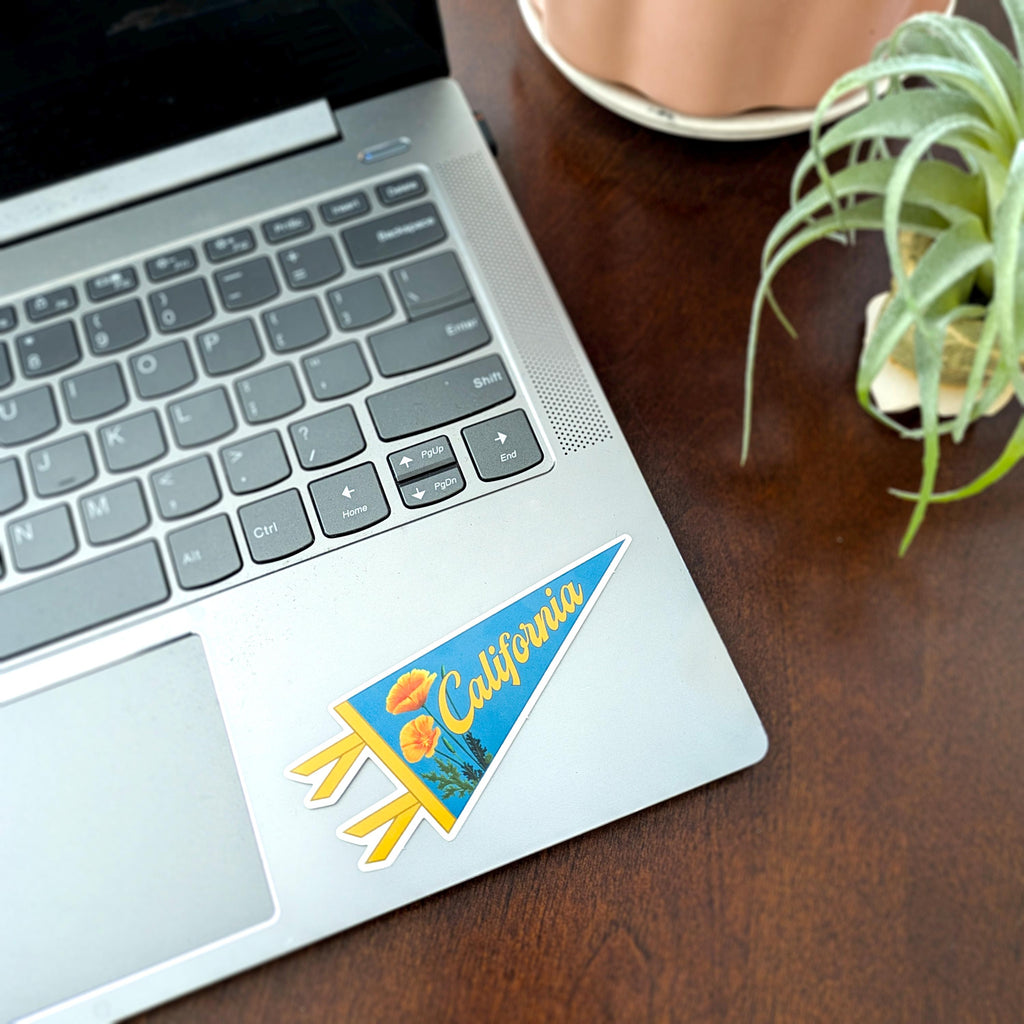 Laptop with a 'California' sticker on a wooden desk with a plant