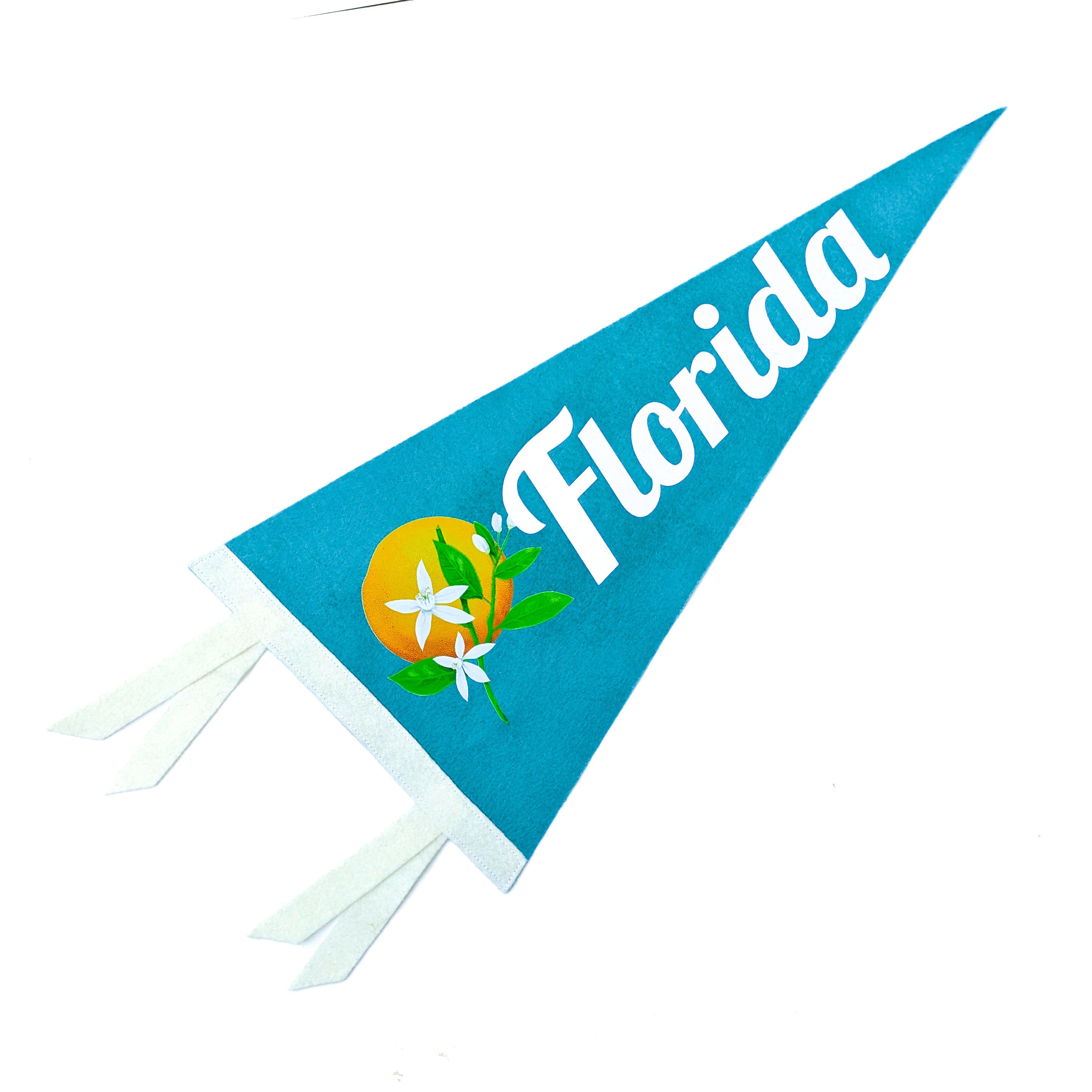 Blue triangular flag with 'Florida' text and orange and orange blossom design on a white background