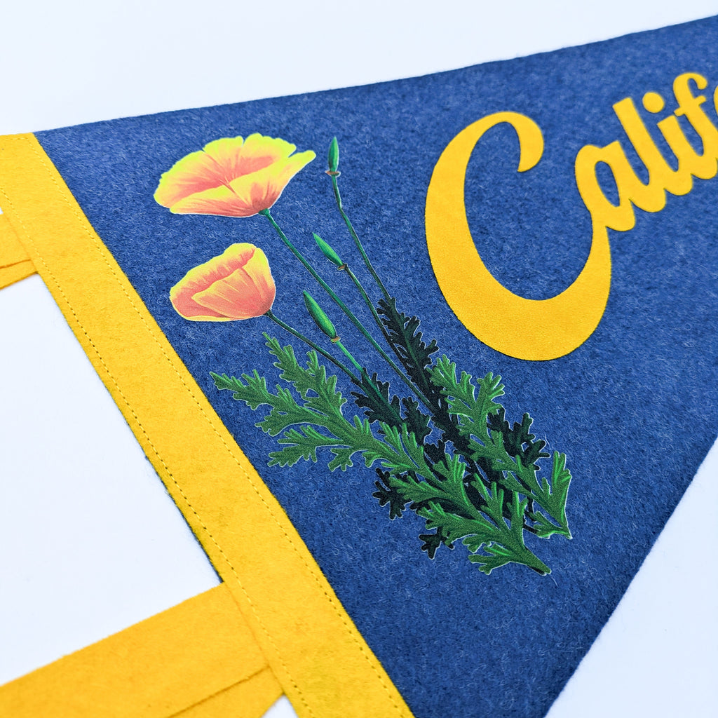 Felt banner with yellow poppy flowers, green leaves, and 'California' text on a blue background