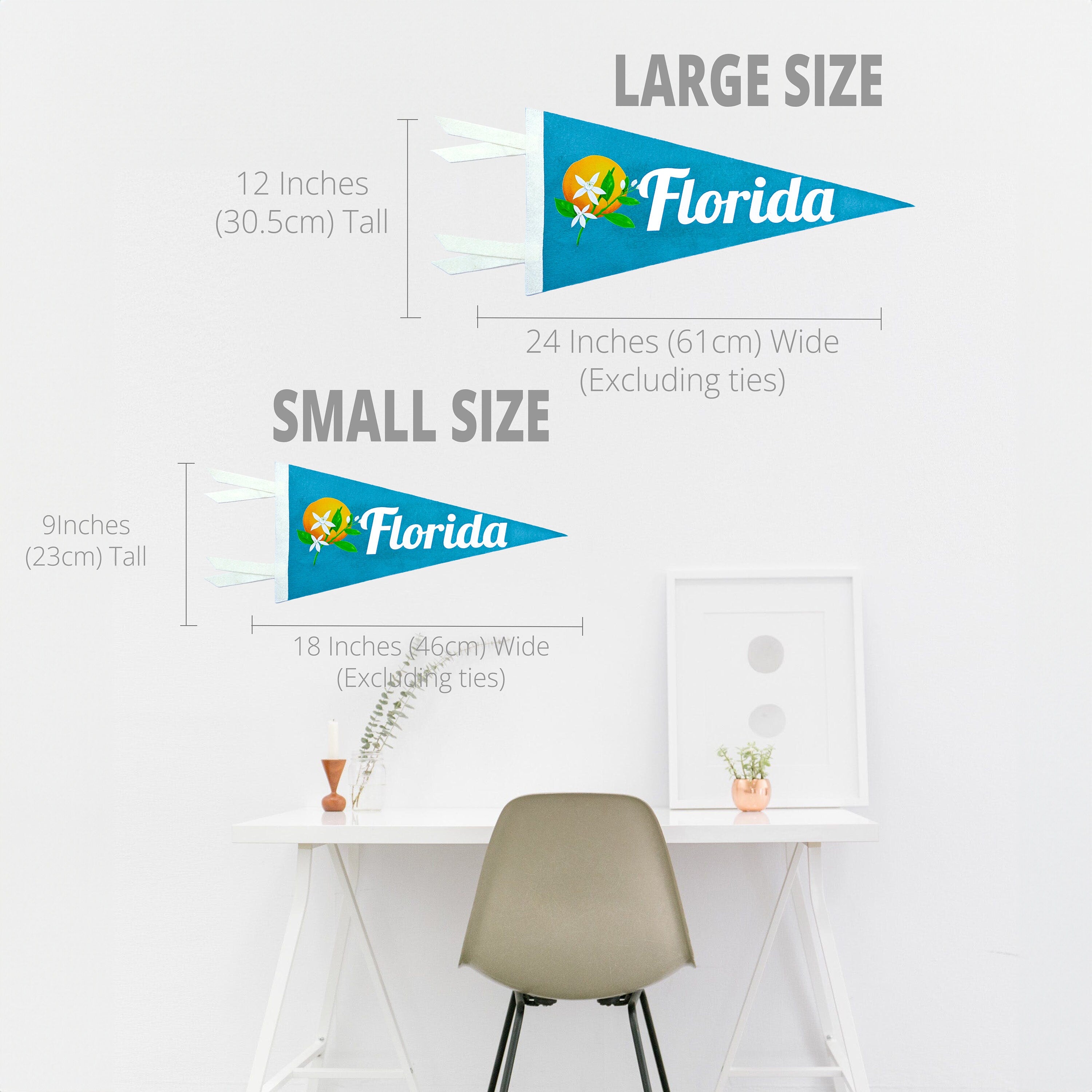 Comparison of large and small Florida-themed flags with measurements and a white wall background.