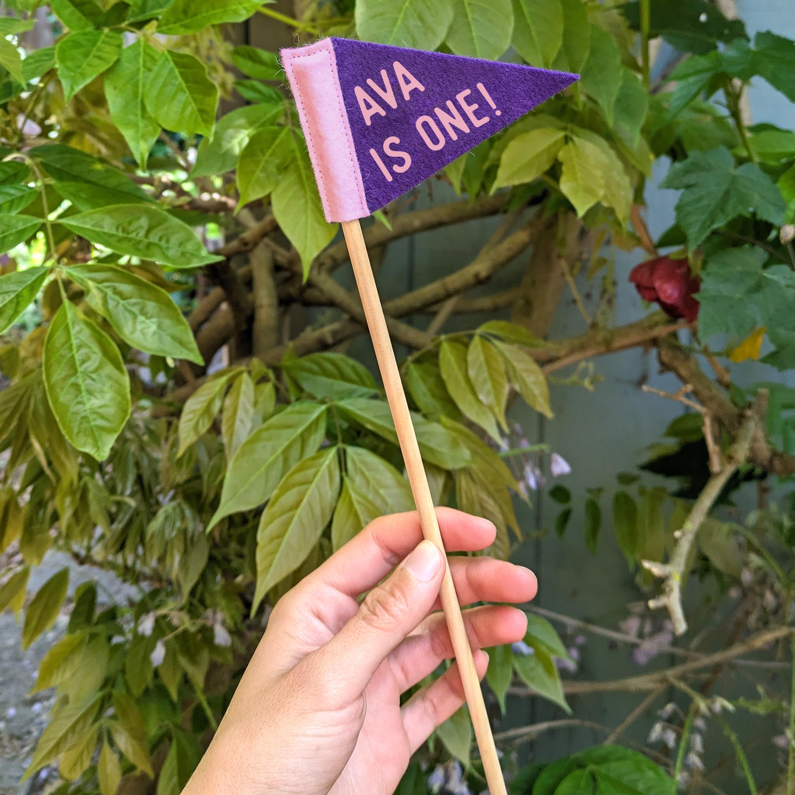 Custom Tiny Pennant | 2.5 x 4 inches