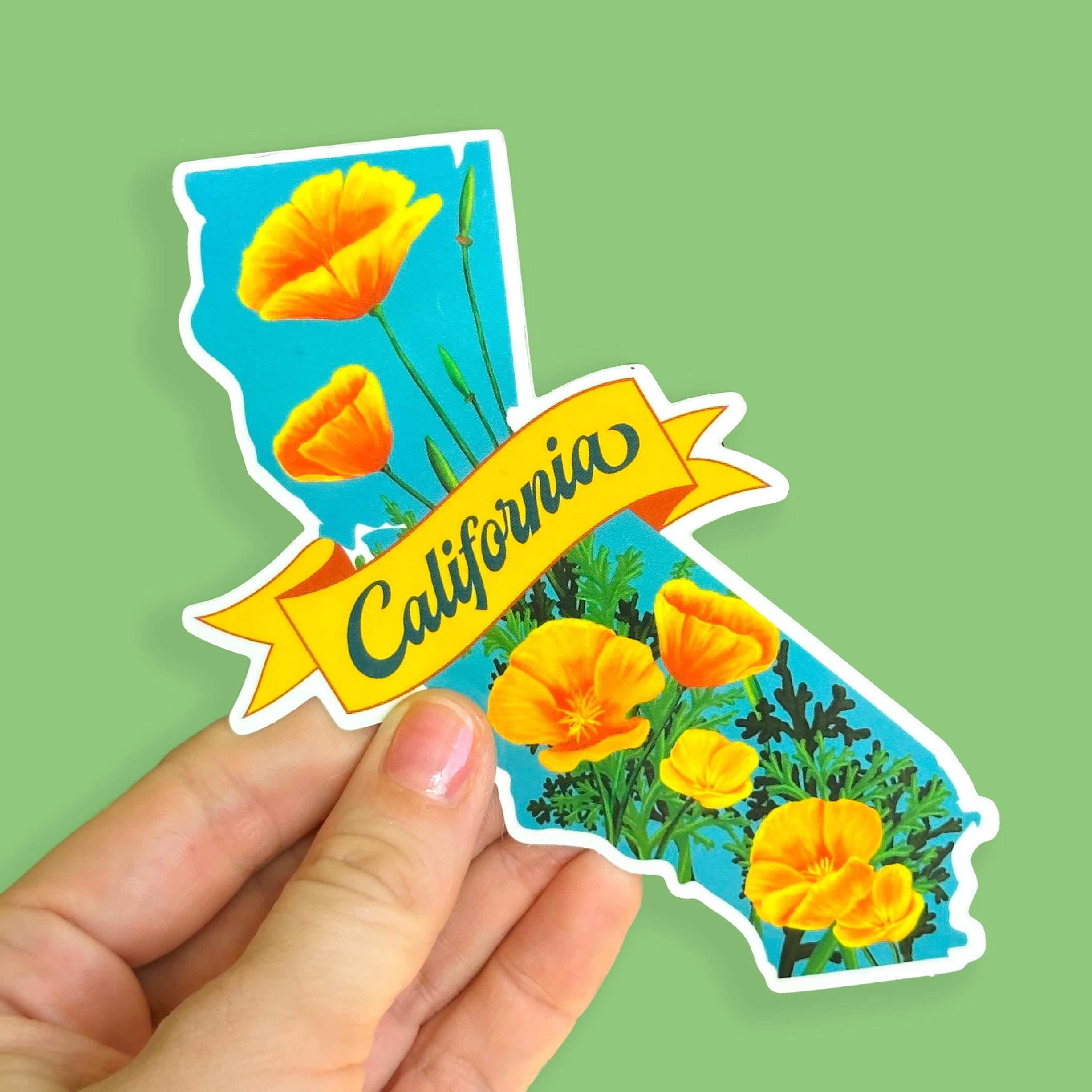 Sticker of California with orange poppy flowers and a yellow banner, being held in a hand against a green background