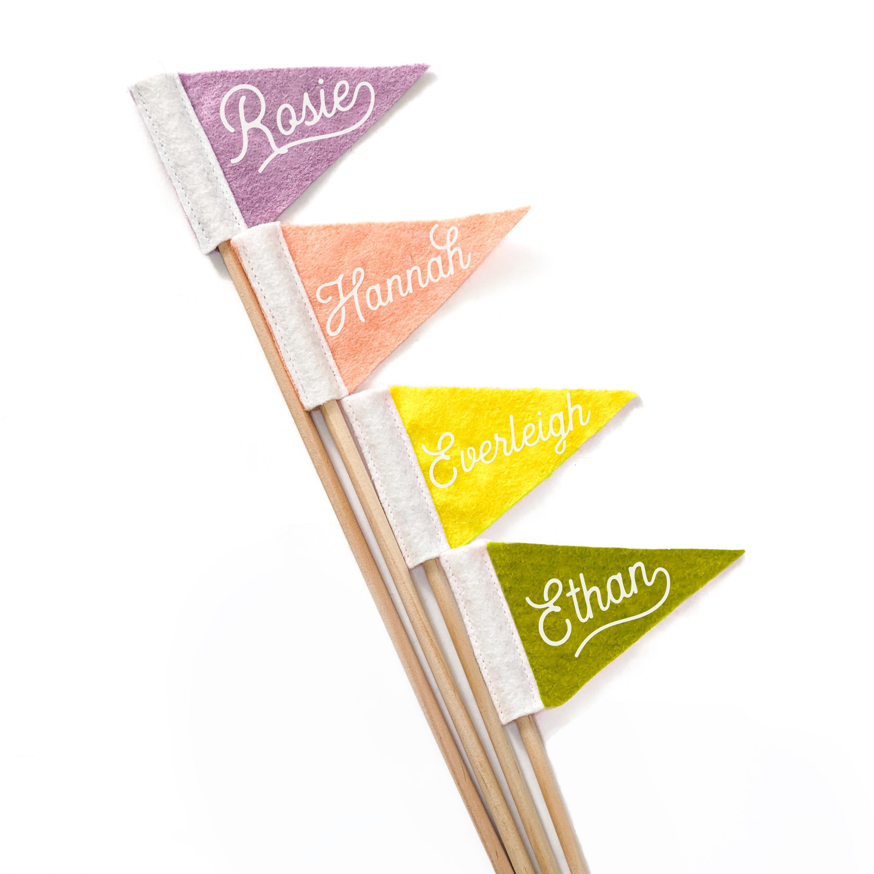 Custom Tiny Pennant | 2.5 x 4 inches
