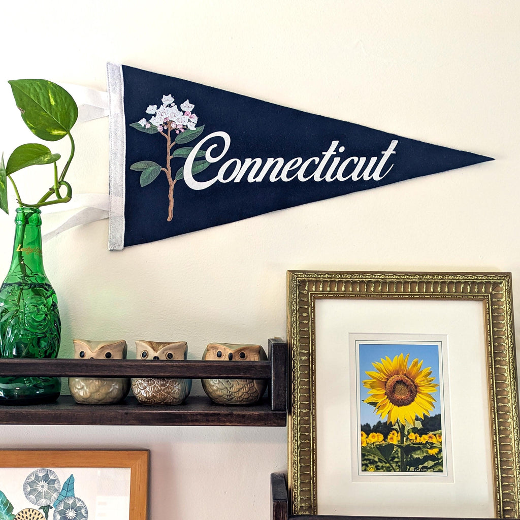 Navy blue 'Connecticut' pennant with floral design on a wall above a shelf with decorative items.