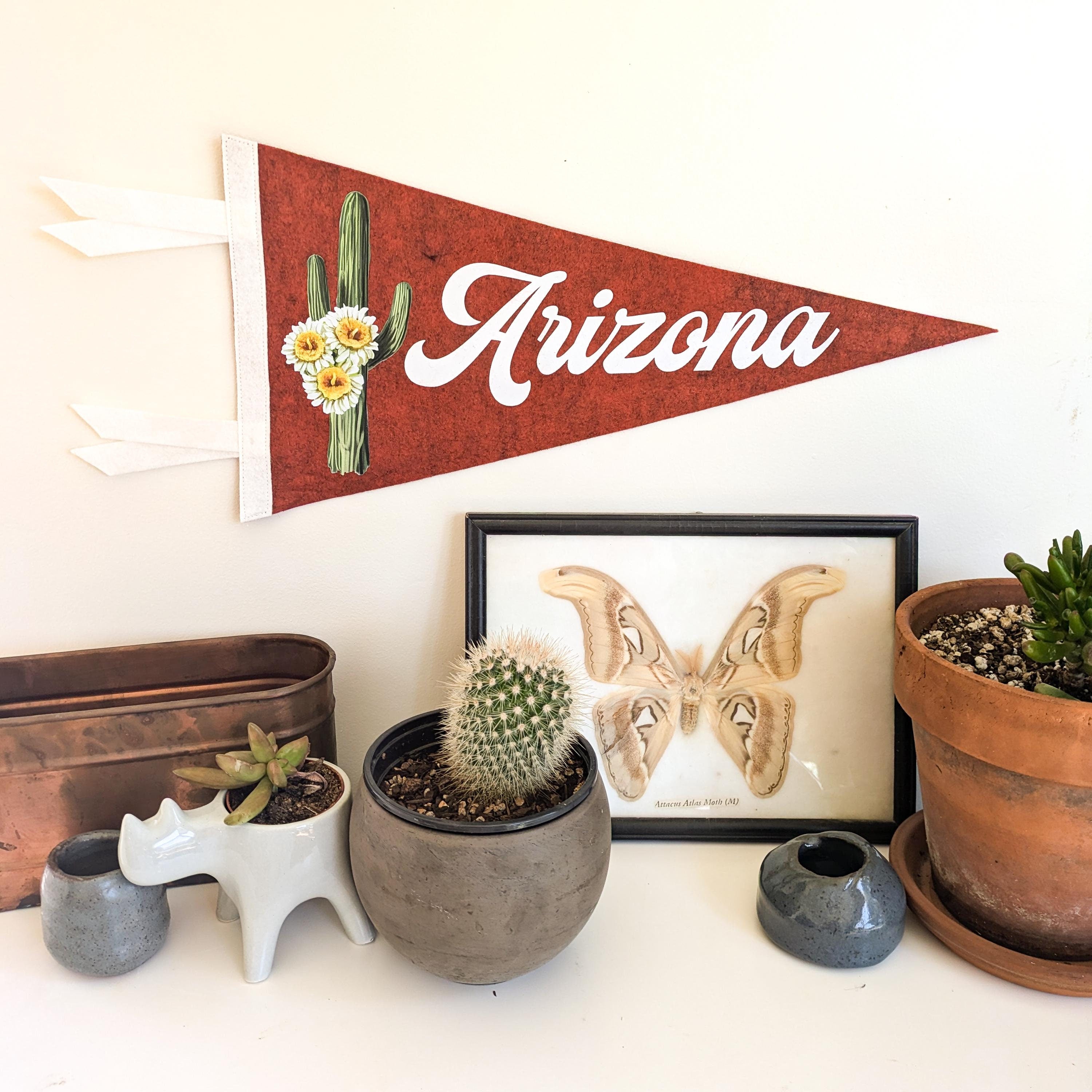 Decorative setup with 'Arizona' pennant, cacti, and framed butterfly art on a white wall.