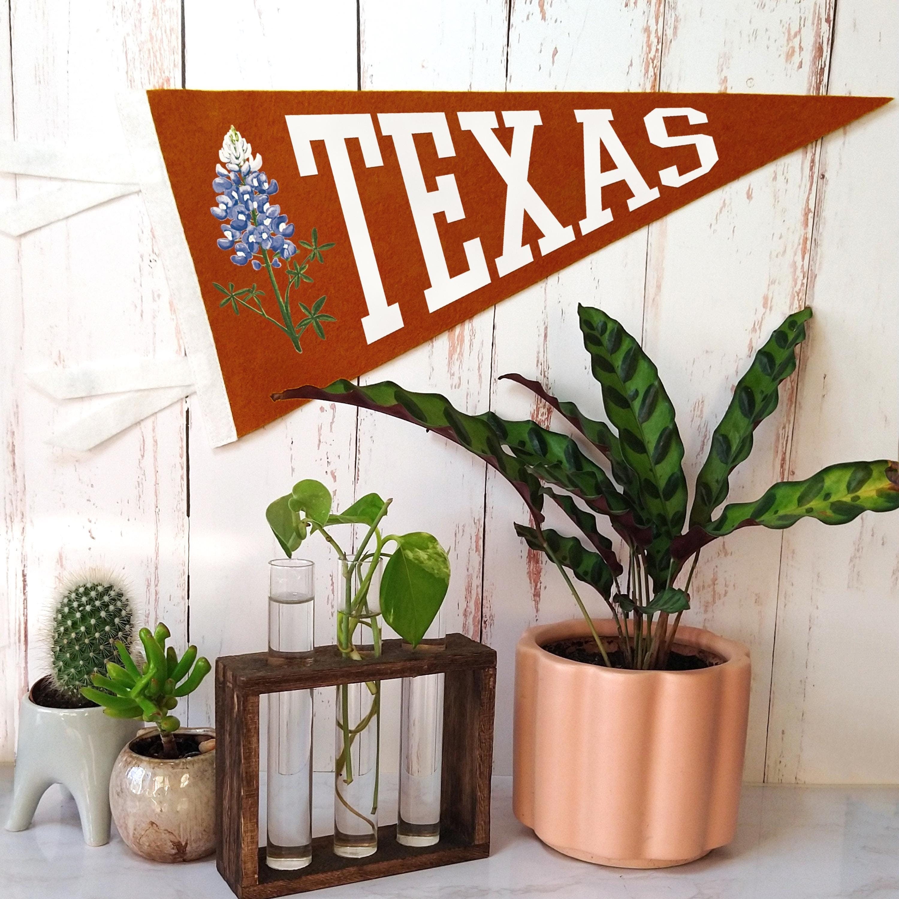 Decorative Texas-themed pennant with plants on a wooden surface