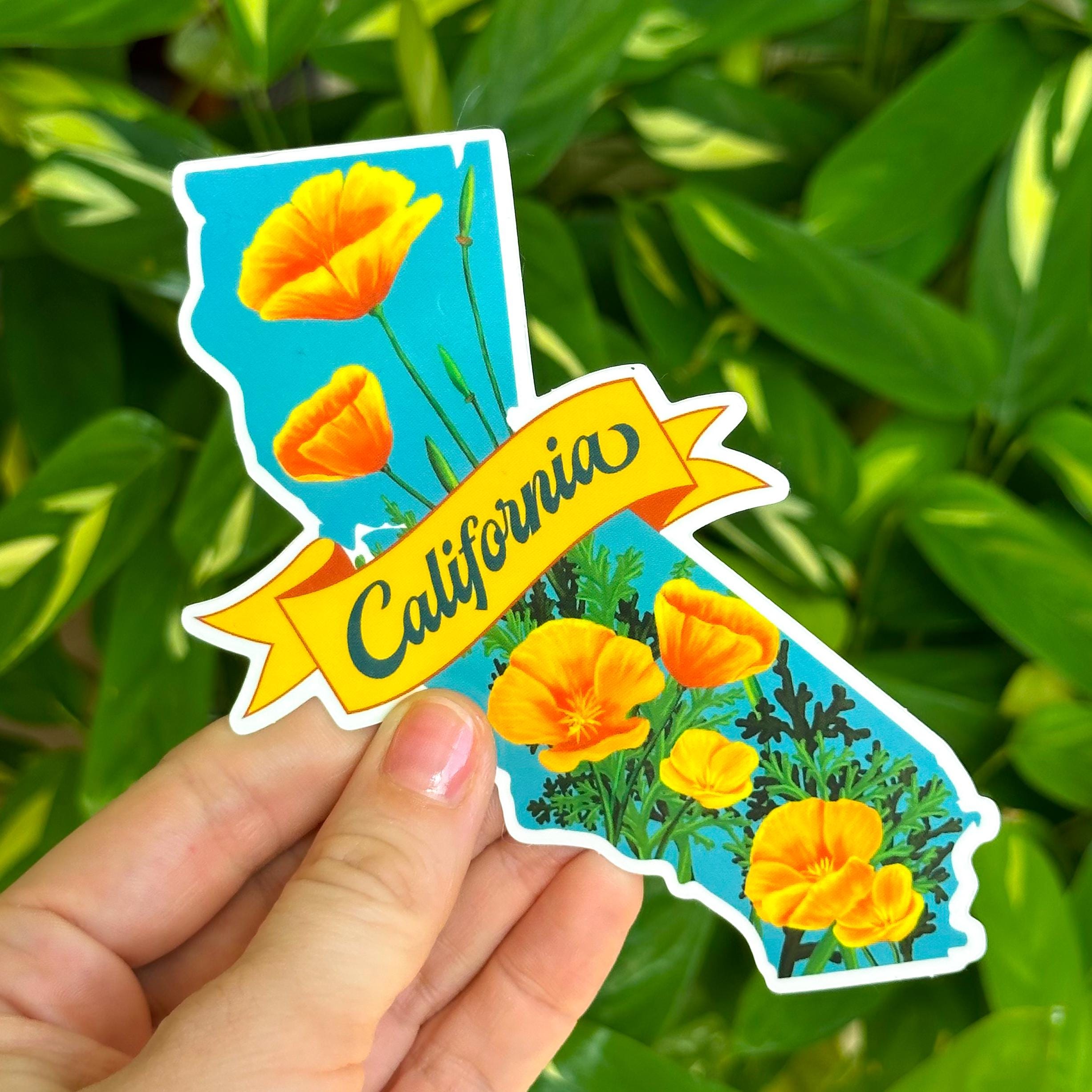 A blue sticker featuring California poppy flowers on a blue background with a decorative banner that says "California". The sticker is shaped like the state of California.