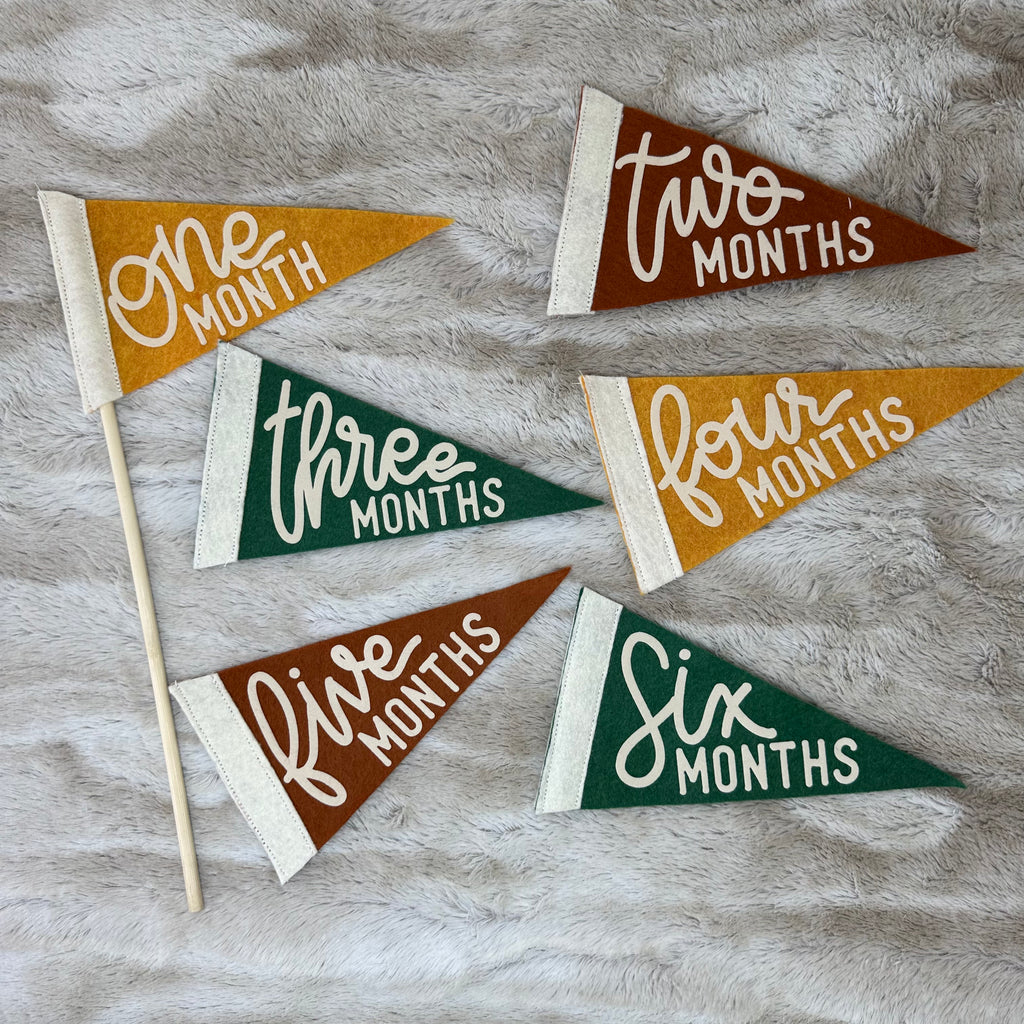 BABY MILESTONE SET of Monthly Pennant Photo Props