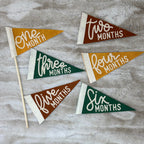 BABY MILESTONE SET of Monthly Pennant Photo Props