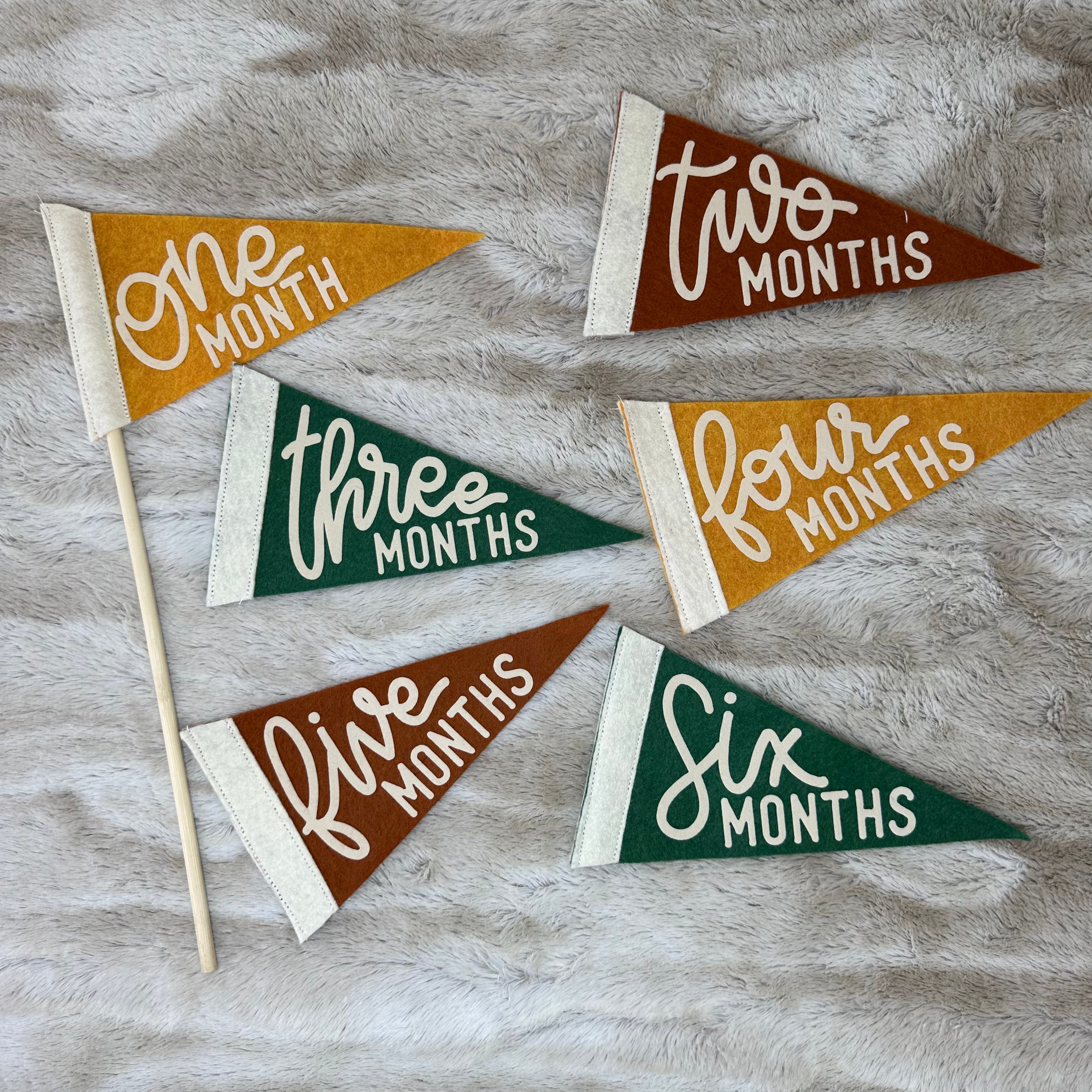 BABY MILESTONE SET of Monthly Pennant Photo Props