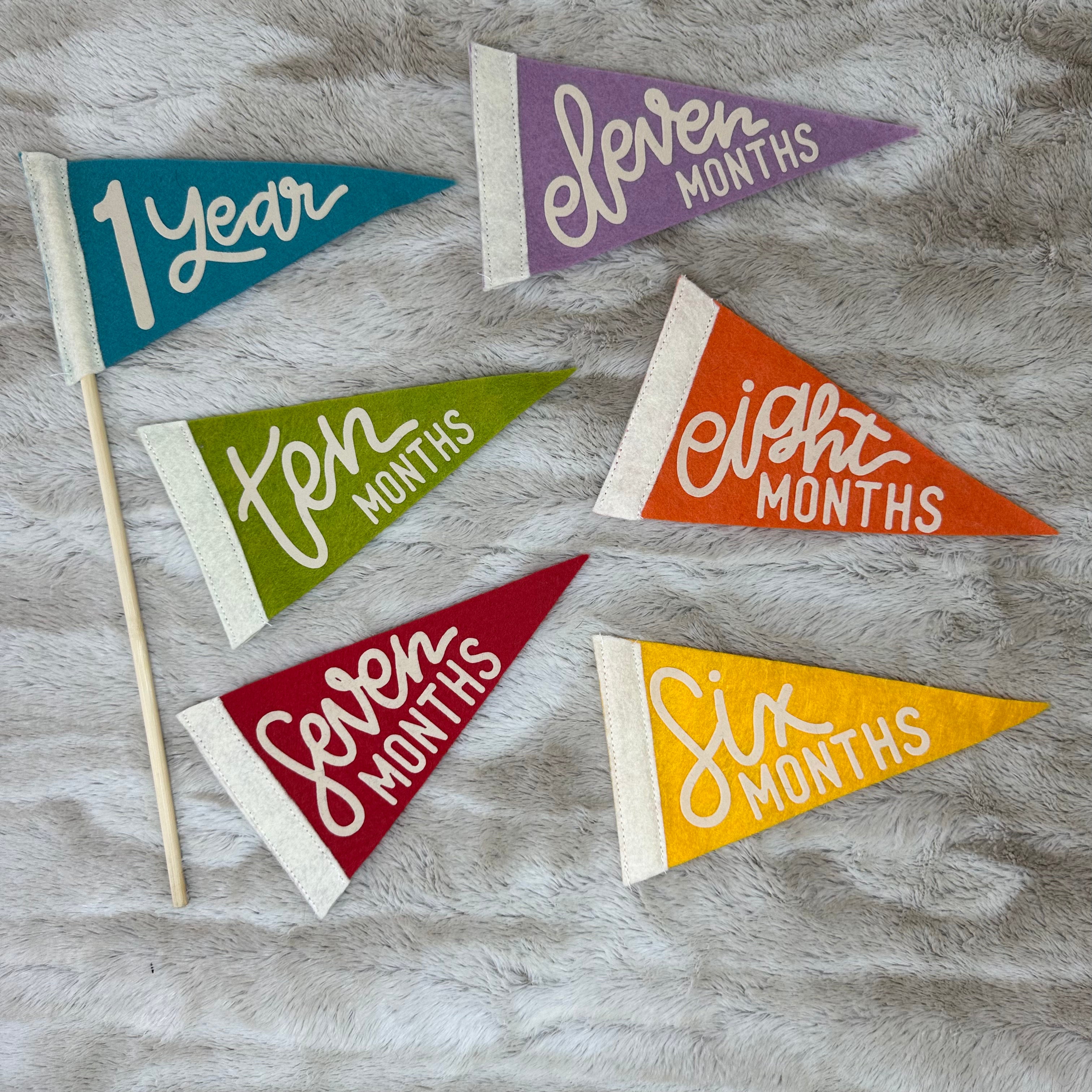 BABY MILESTONE SET of Monthly Pennant Photo Props