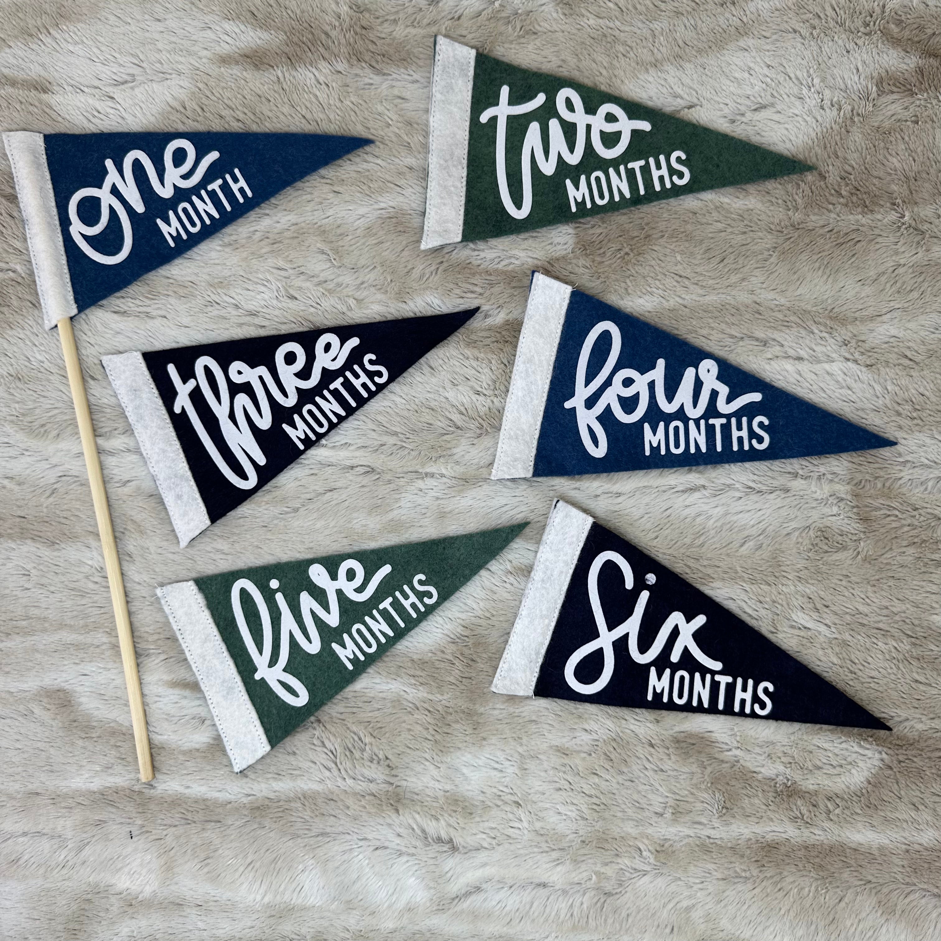 BABY MILESTONE SET of Monthly Pennant Photo Props