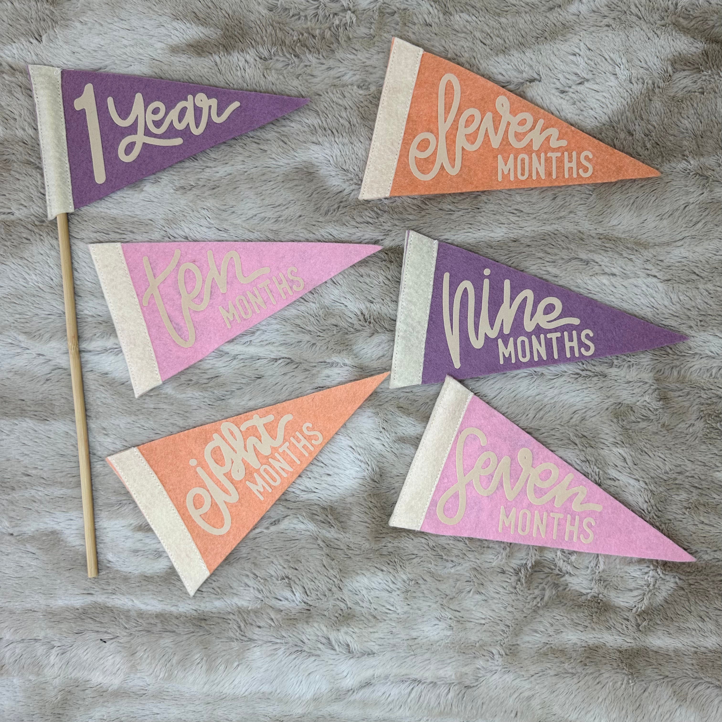 BABY MILESTONE SET of Monthly Pennant Photo Props