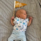 BABY MILESTONE SET of Monthly Pennant Photo Props