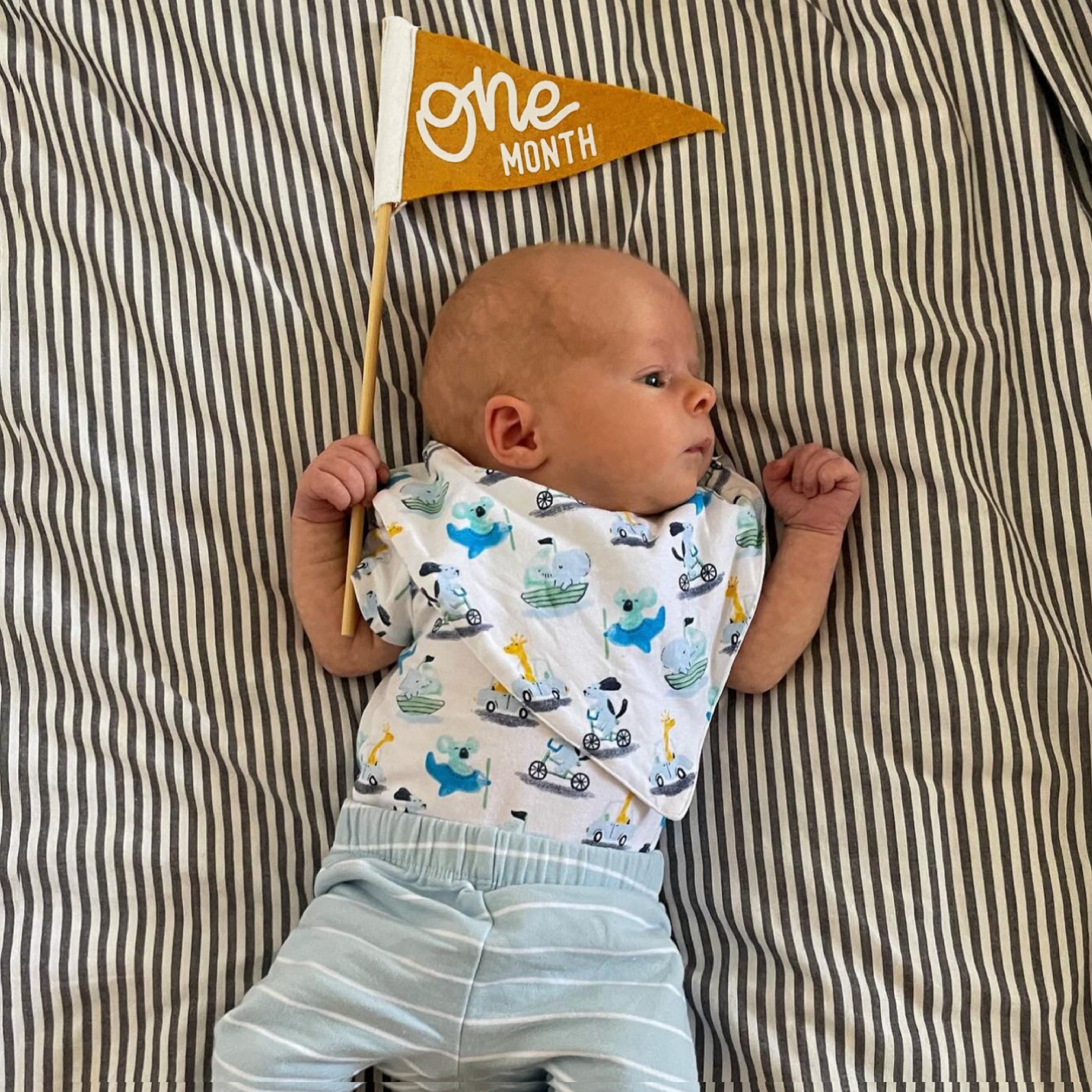 BABY MILESTONE SET of Monthly Pennant Photo Props