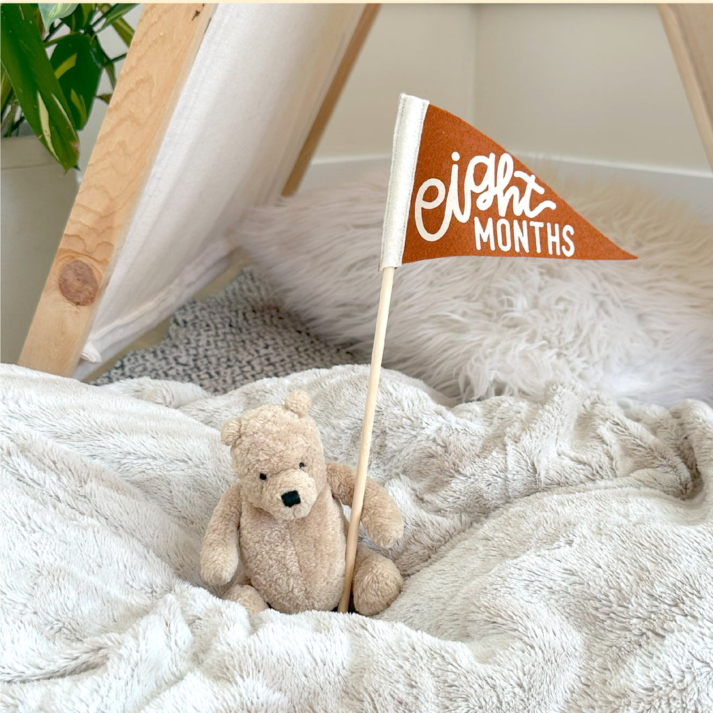 BABY MILESTONE SET of Monthly Pennant Photo Props