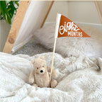 BABY MILESTONE SET of Monthly Pennant Photo Props