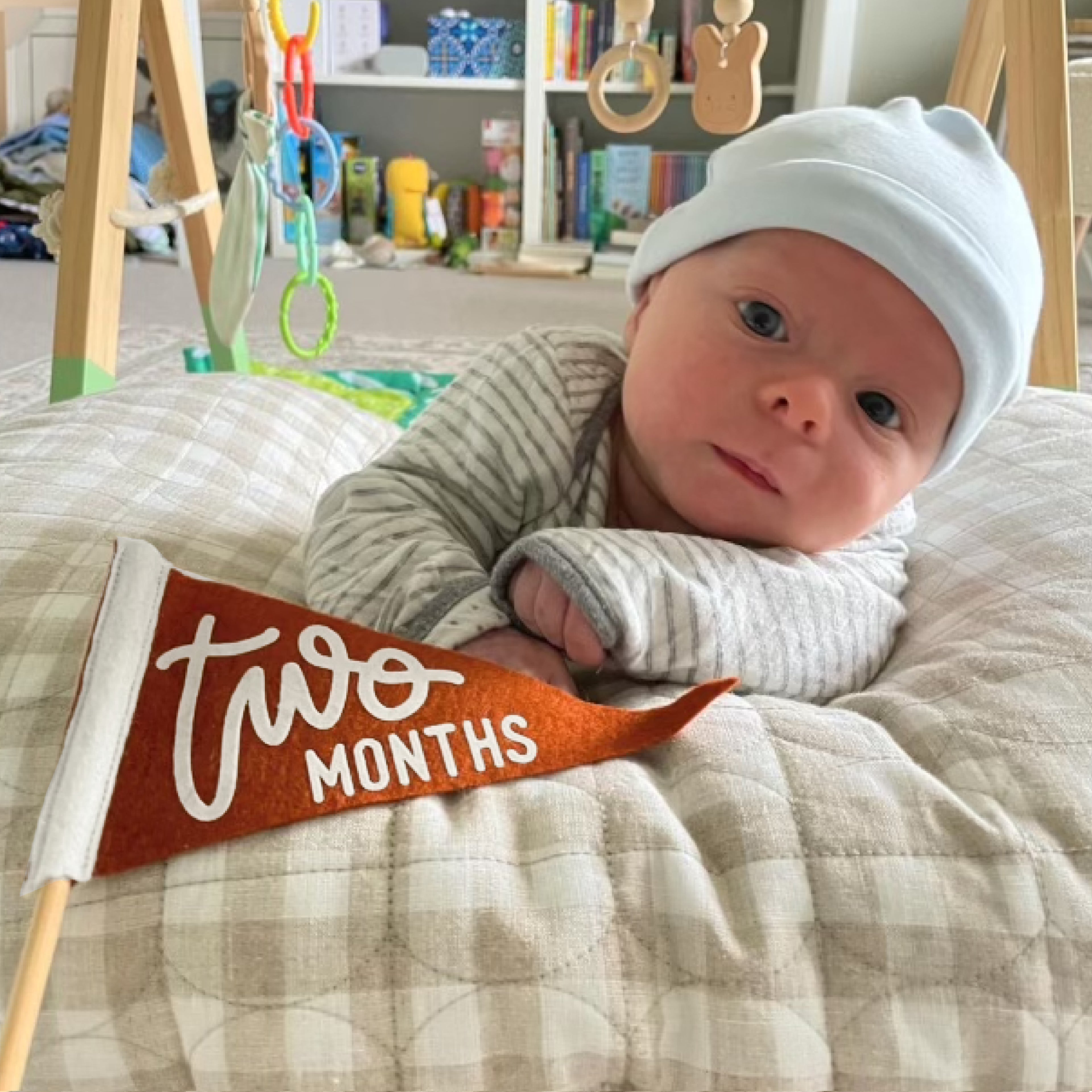 BABY MILESTONE SET of Monthly Pennant Photo Props