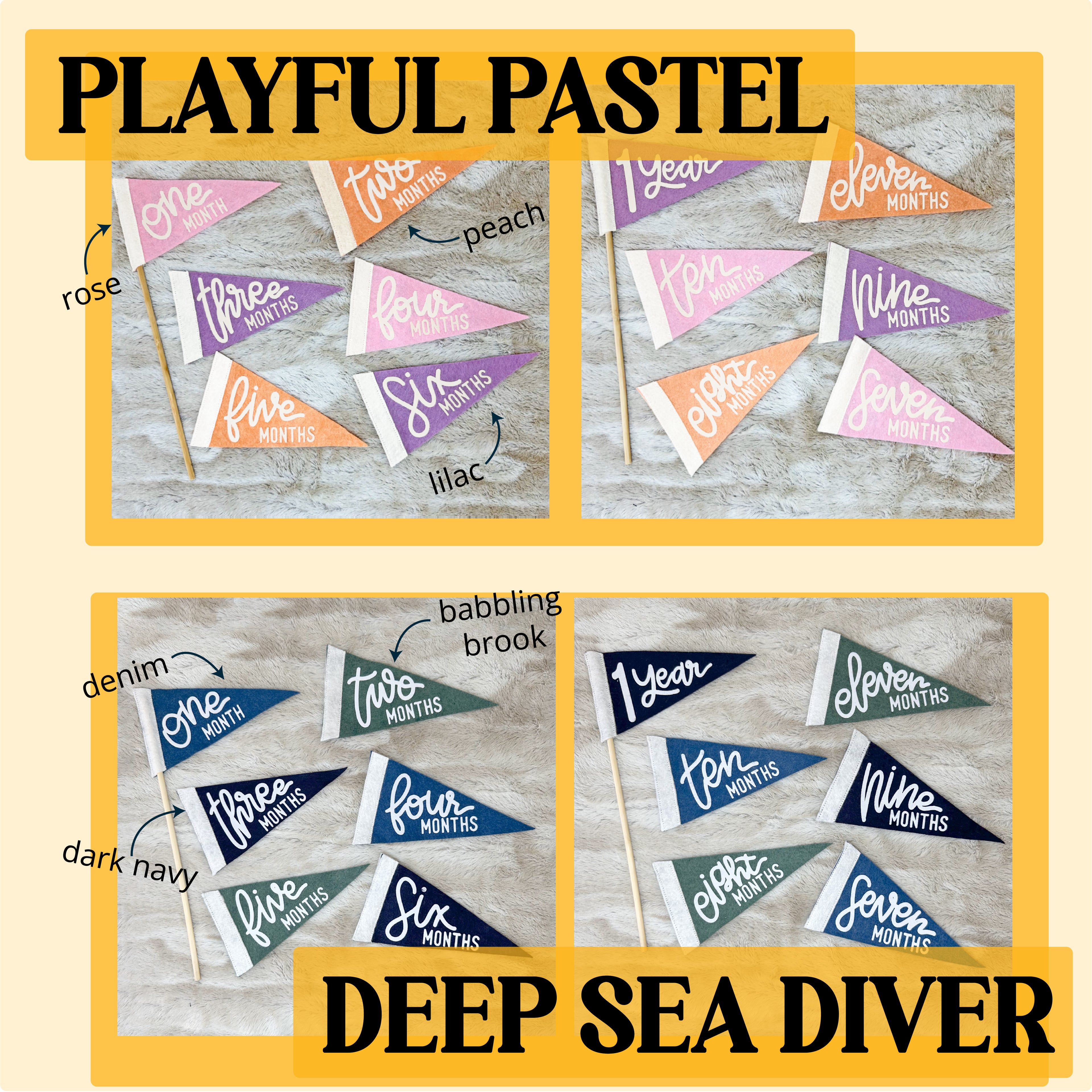 BABY MILESTONE SET of Monthly Pennant Photo Props