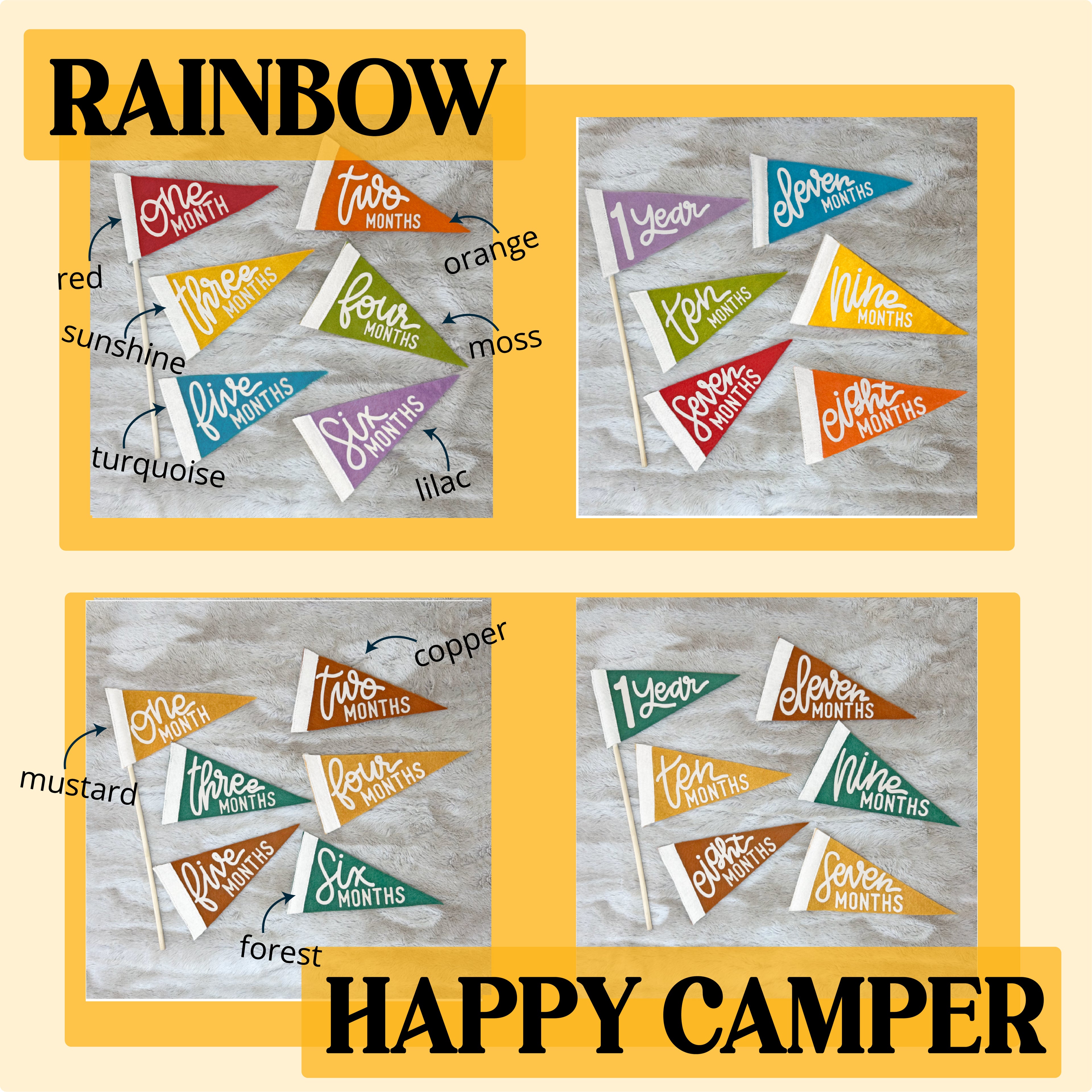BABY MILESTONE SET of Monthly Pennant Photo Props