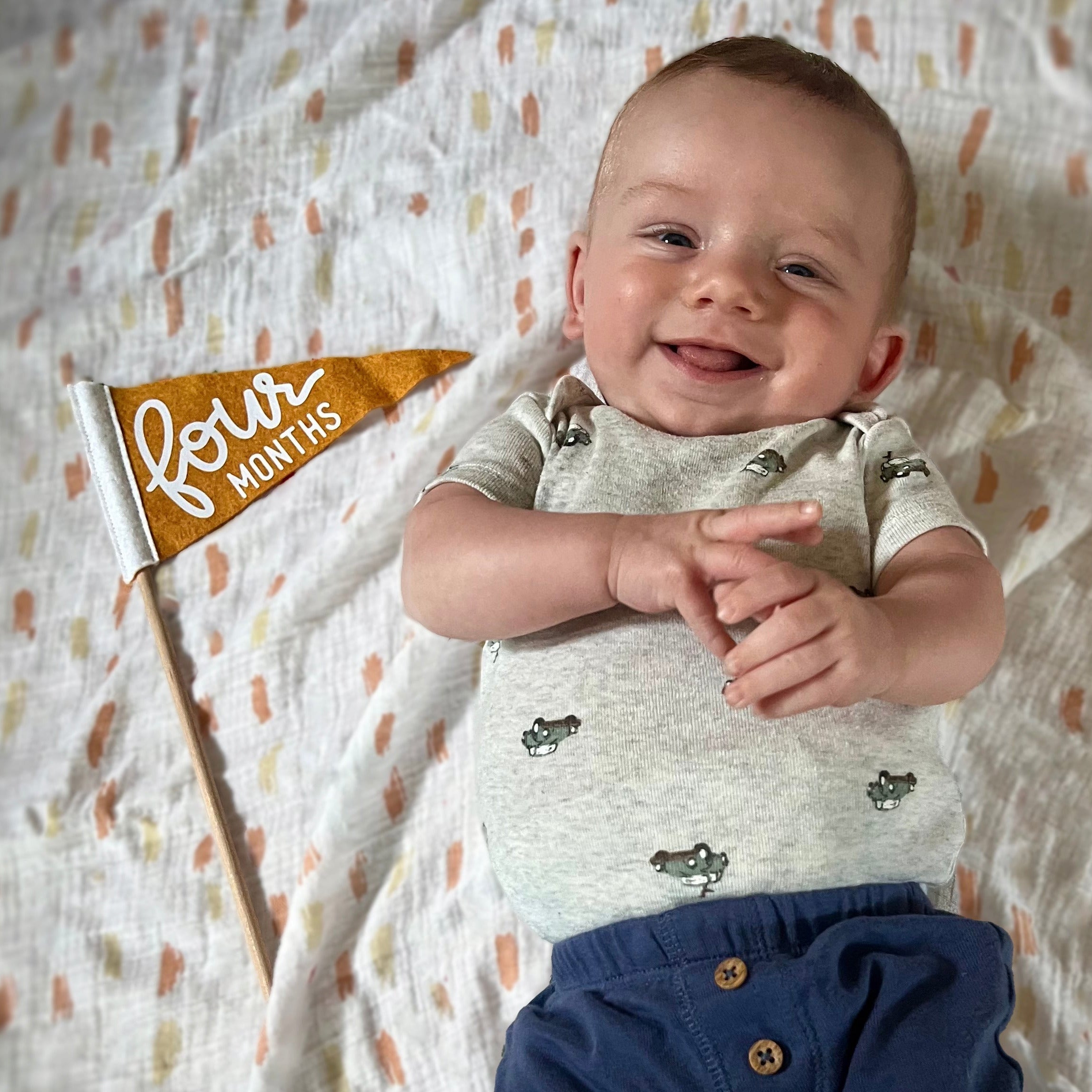 BABY MILESTONE SET of Monthly Pennant Photo Props