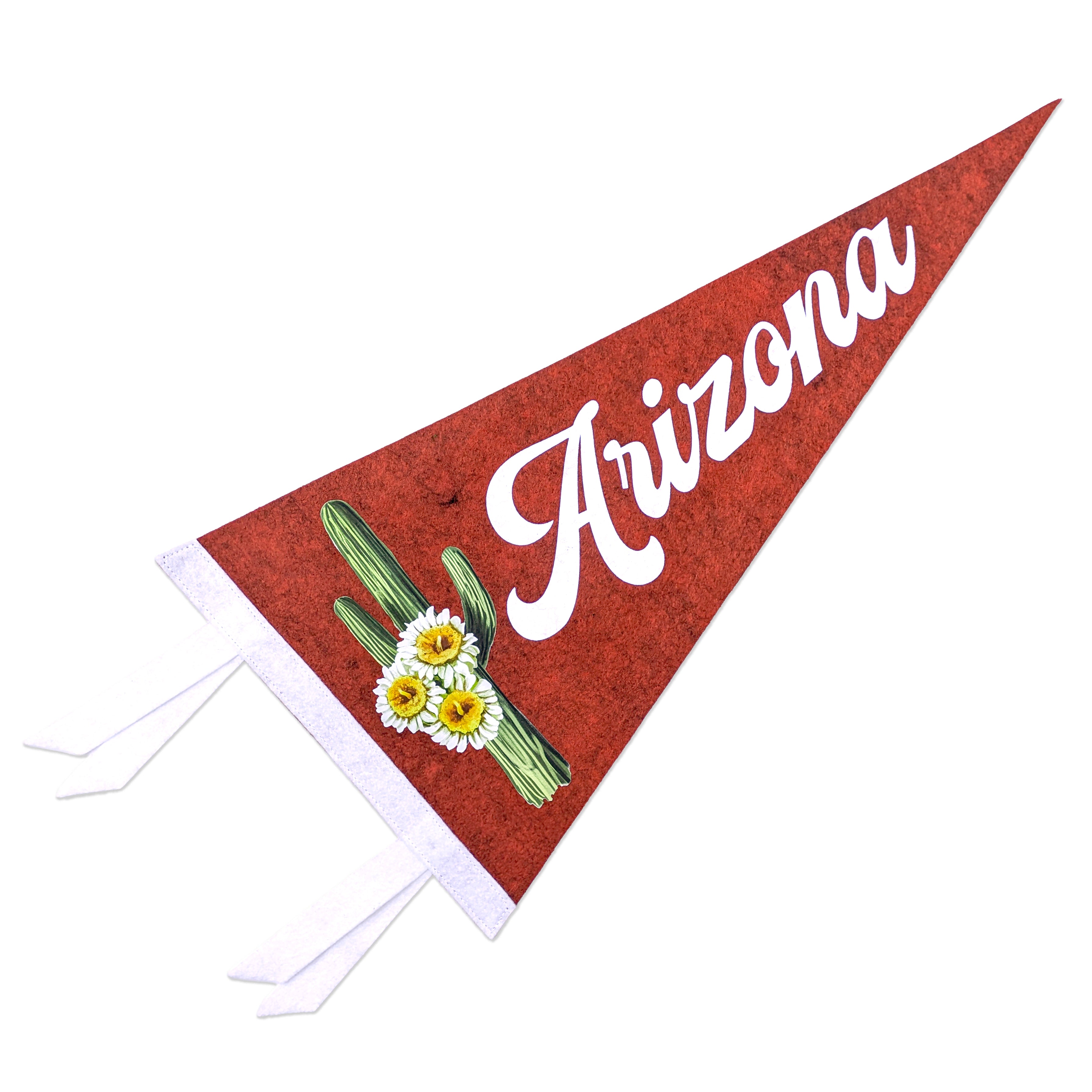 A pennant that says "Arizona" with a cactus and flower design on a brown background