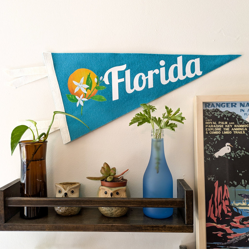 Decorative shelf with a 'Florida' pennant, plants, and a poster on a white wall.