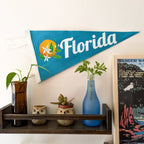 Decorative shelf with a 'Florida' pennant, plants, and a poster on a white wall.