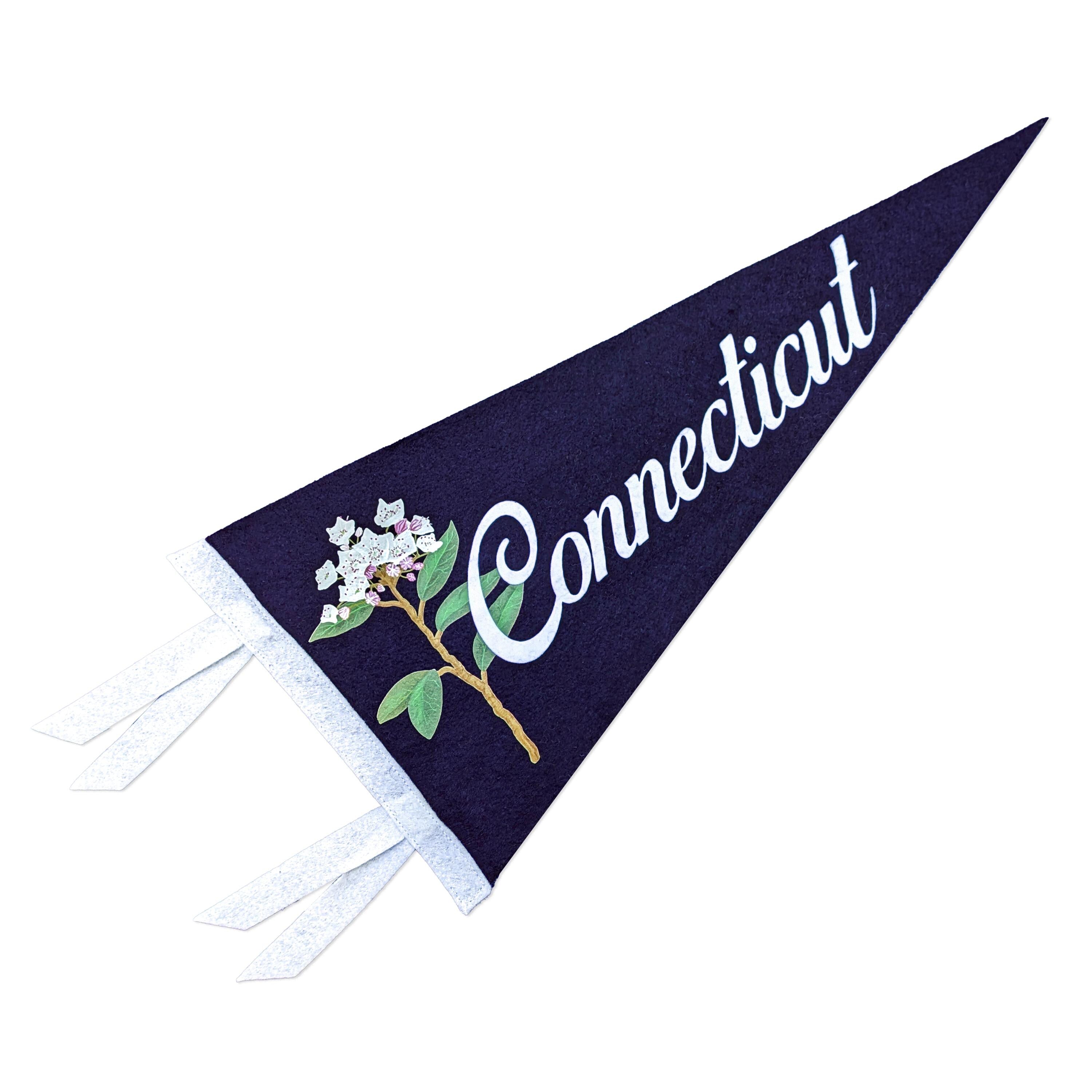 Navy blue pennant with 'Connecticut' and floral design on a white background