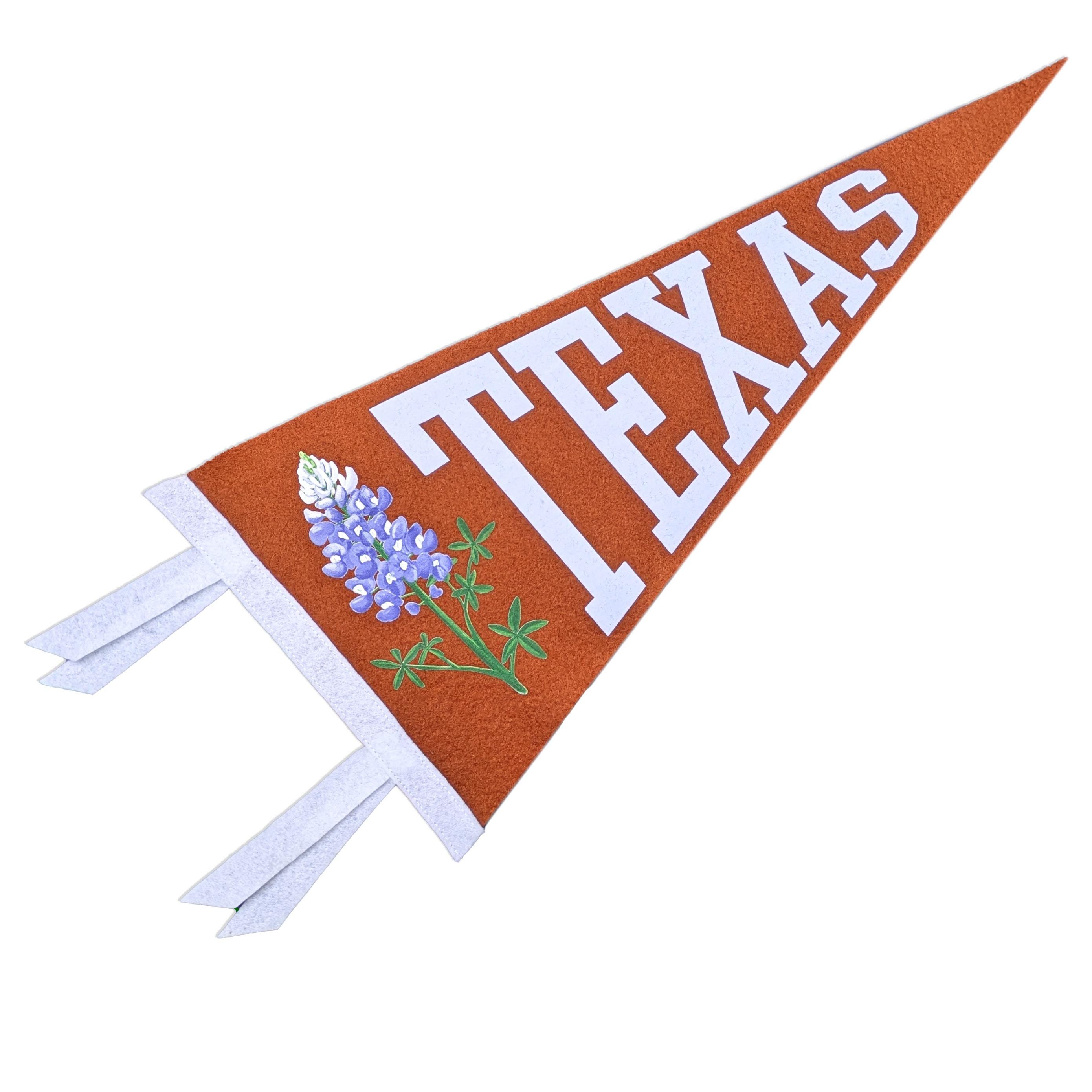 Texas-themed pennant with bluebonnet design