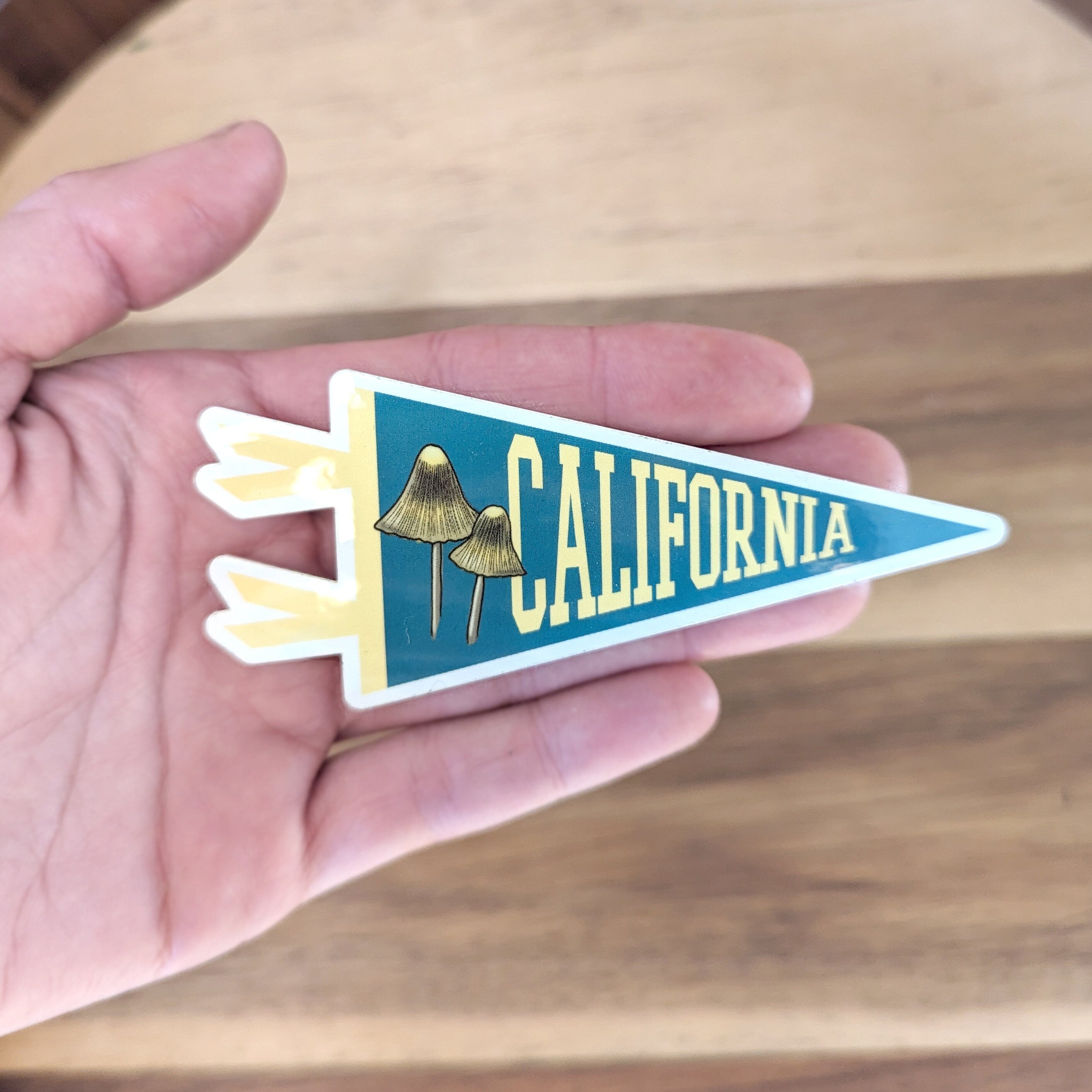 Hand holding a pennant-shaped blue and yellow sticker with 'California' text and a mushroom illustration