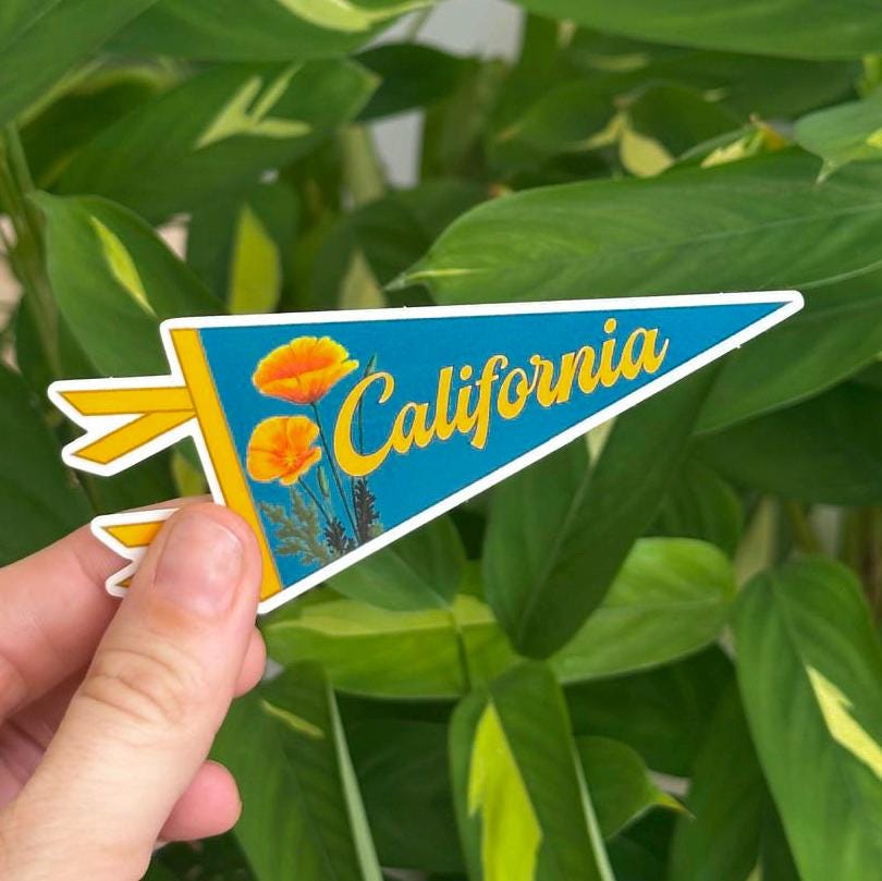 Hand holding a ''California' pennant-shaped blue and orange sticker with flowers  against a green leafy background