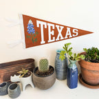 Collection of potted plants and decorative items with a Texas-themed pennant