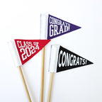 Custom Tiny Pennant | 2.5 x 4 inches