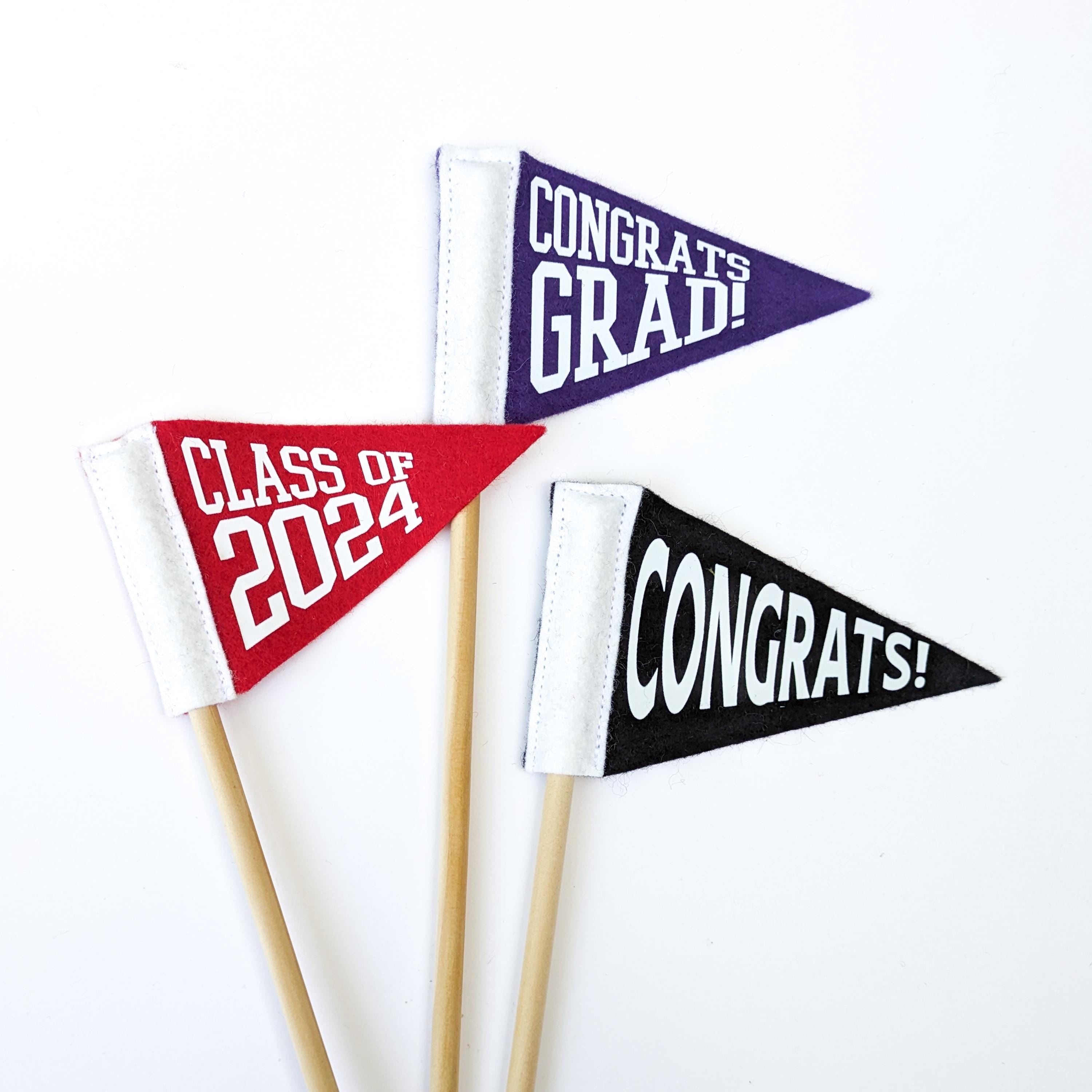 Custom Tiny Pennant | 2.5 x 4 inches