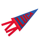 Custom Mini Pennant