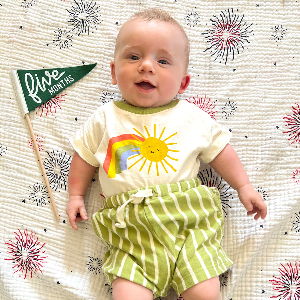 BABY MILESTONE SET of Monthly Pennant Photo Props