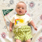 BABY MILESTONE SET of Monthly Pennant Photo Props