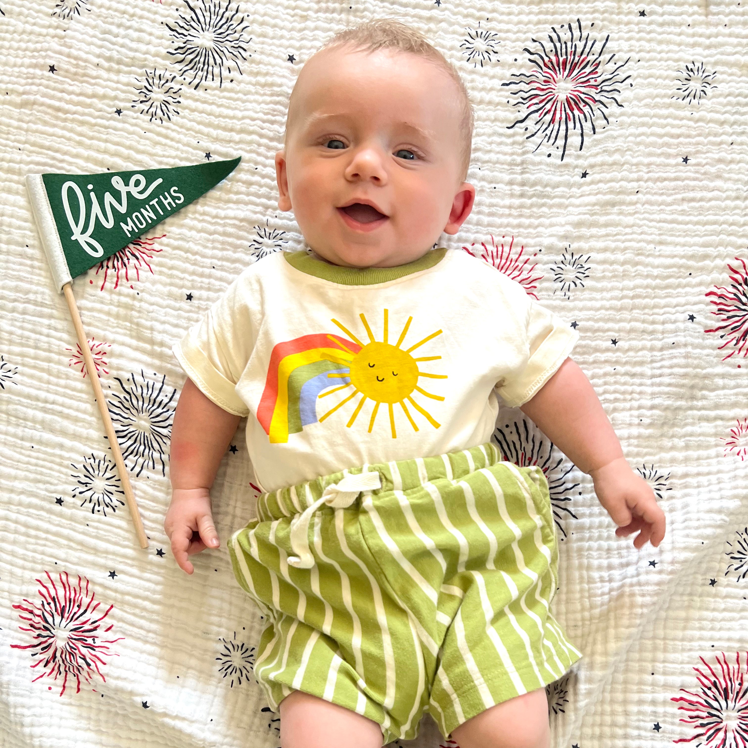 BABY MILESTONE SET of Monthly Pennant Photo Props
