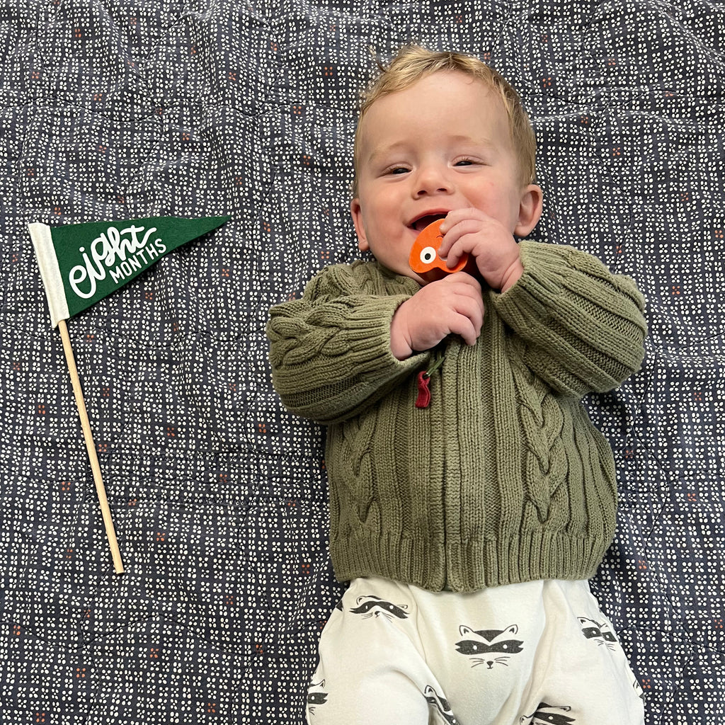 BABY MILESTONE SET of Monthly Pennant Photo Props