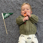 BABY MILESTONE SET of Monthly Pennant Photo Props