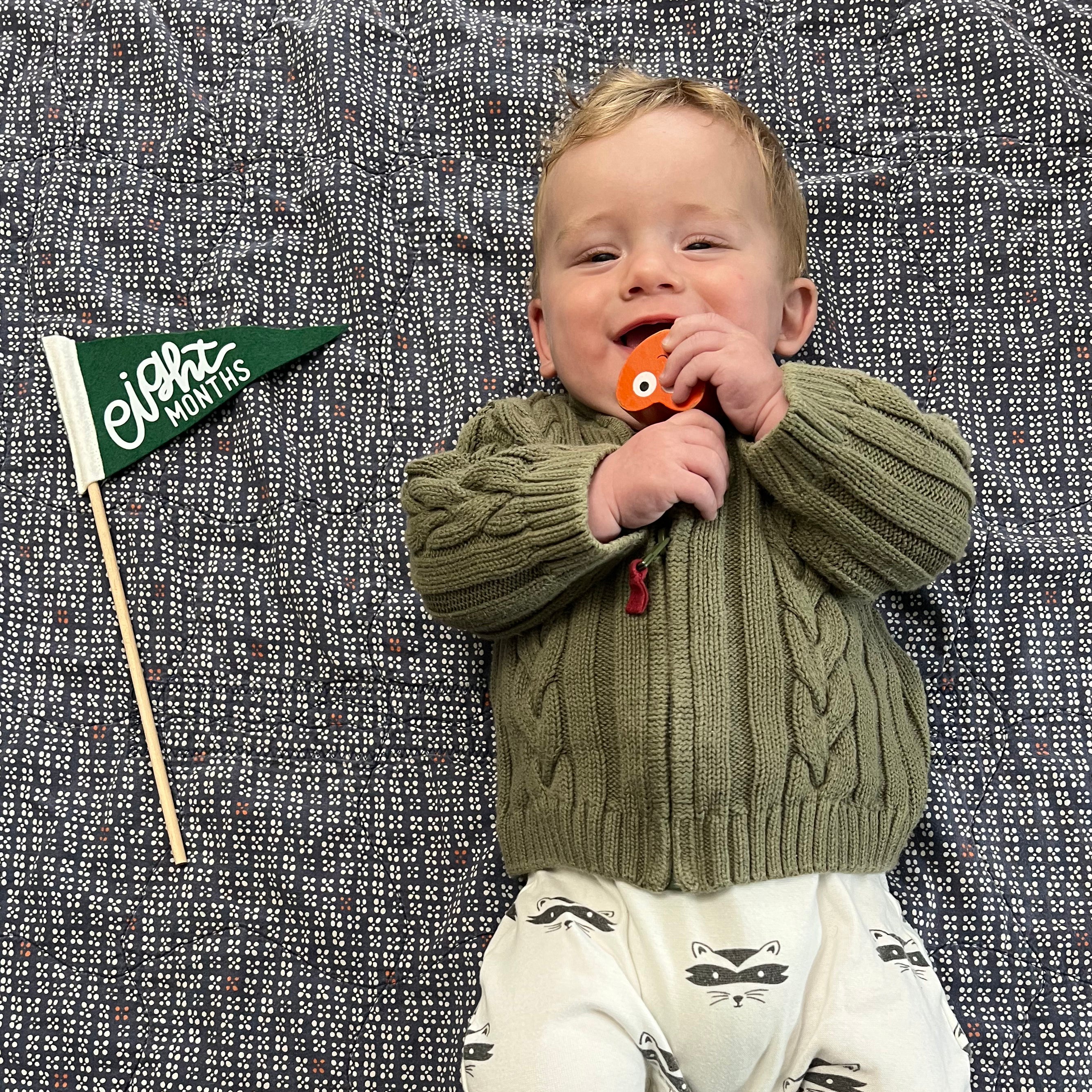 BABY MILESTONE SET of Monthly Pennant Photo Props